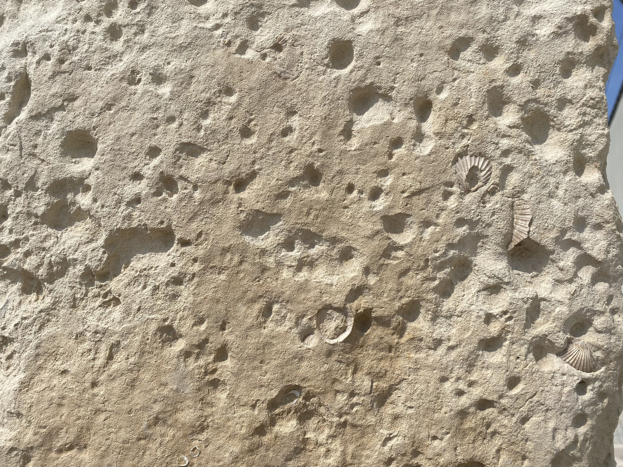 Martano — Monastero di Santa Maria della Consolazione