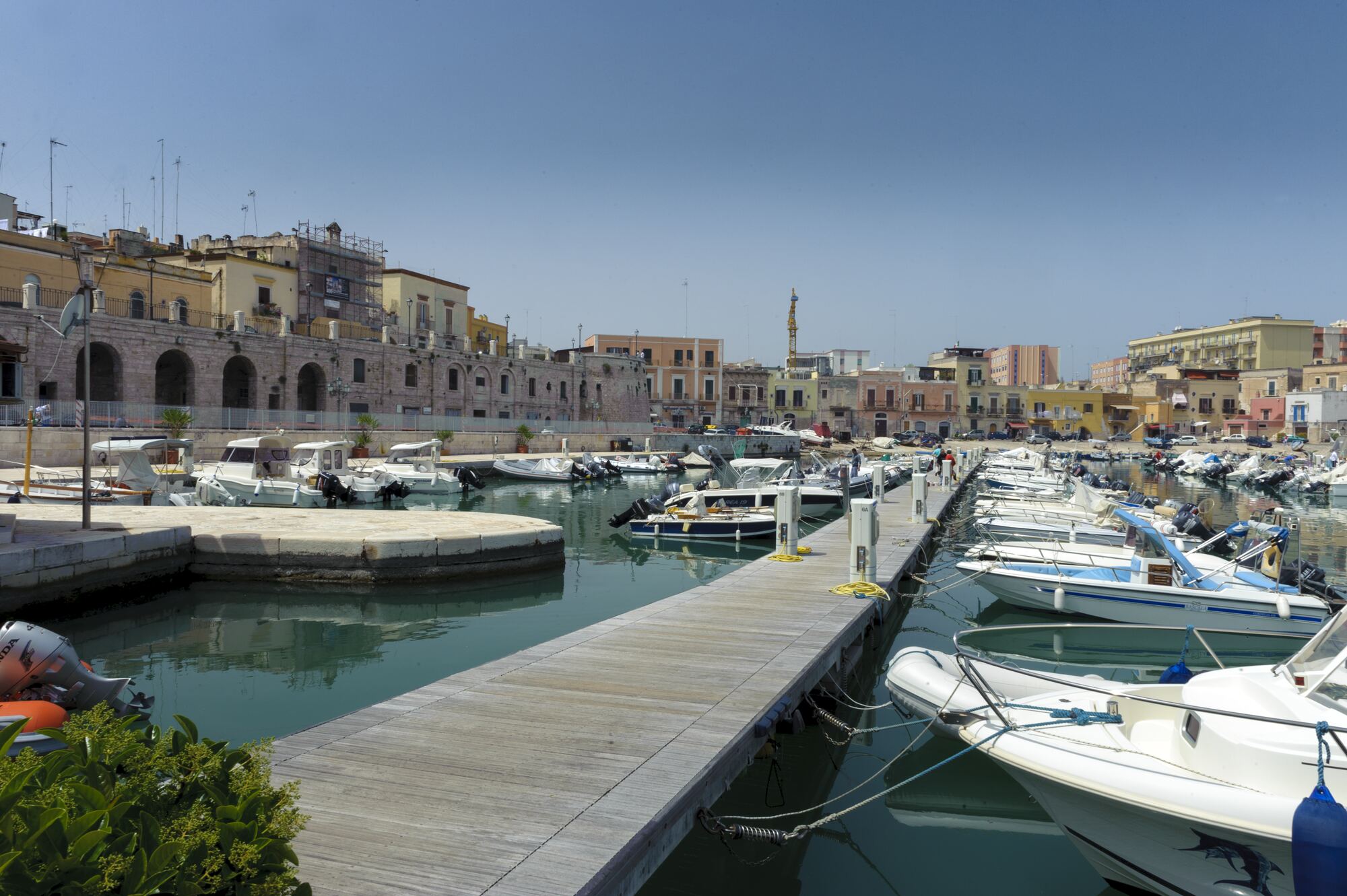 Bisceglie — radici del tempo