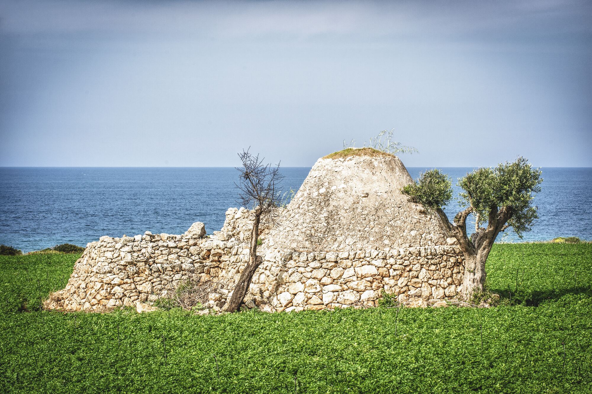 Mola Di Bari — Roberti-Alberotanza