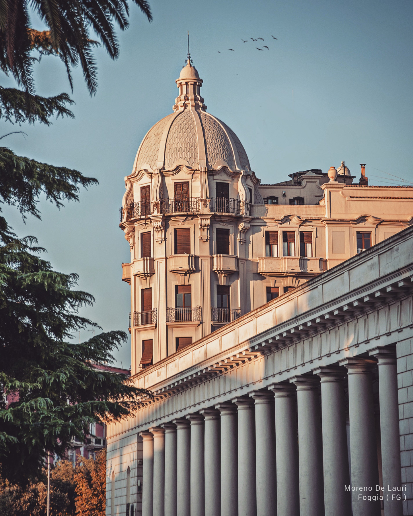 Foggia — Pugliese