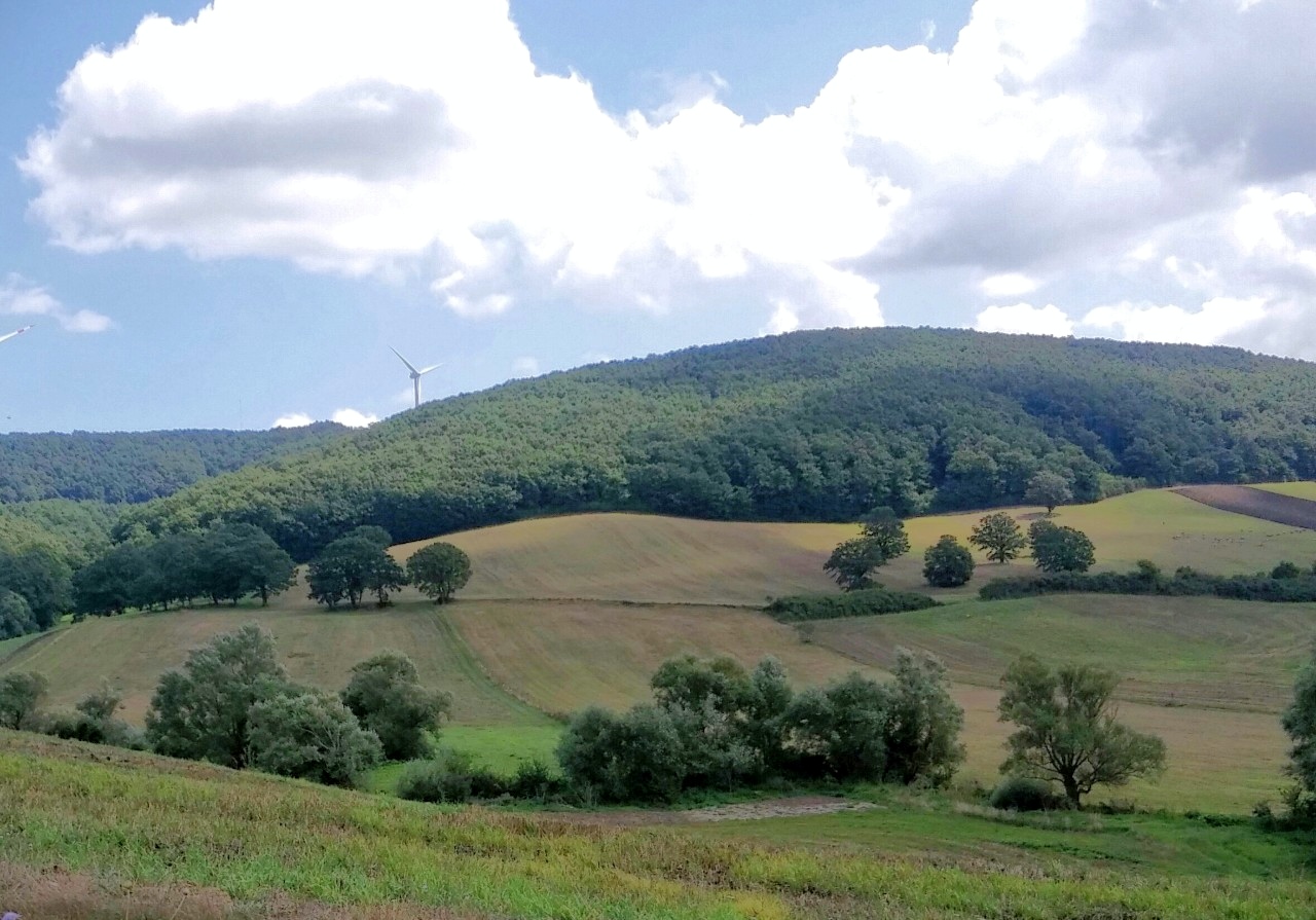 Monteleone Di Puglia — Bosco Selvamala