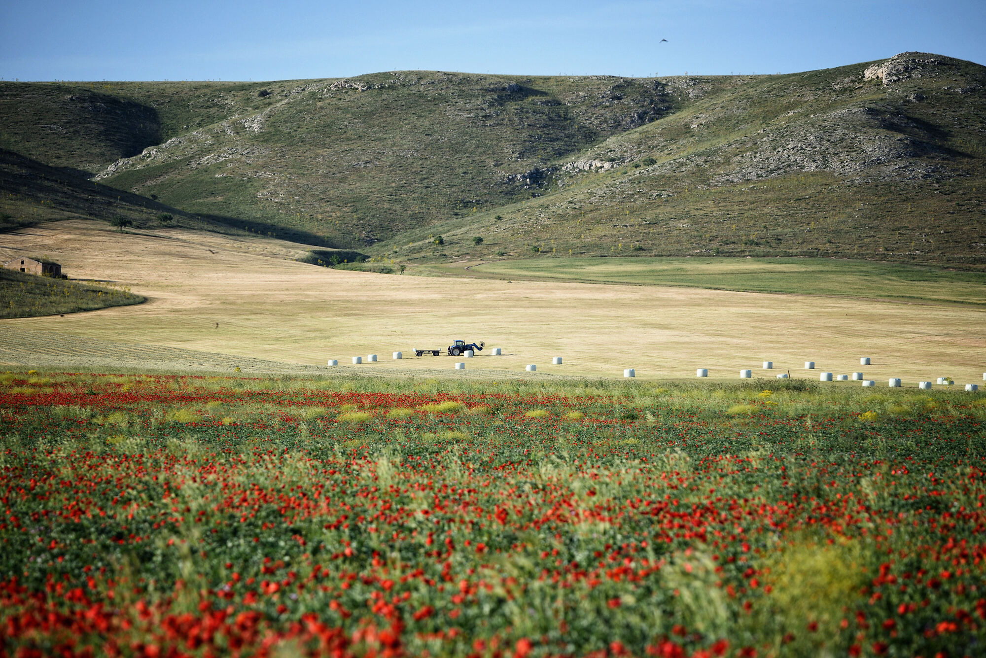 Altamura — Parco Nazionale