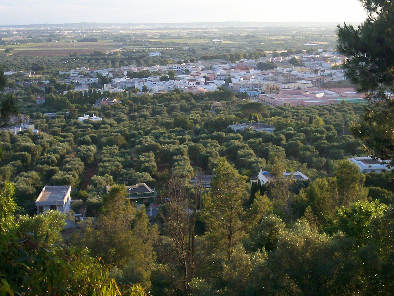 Casarano — Cripta del San Salvatore