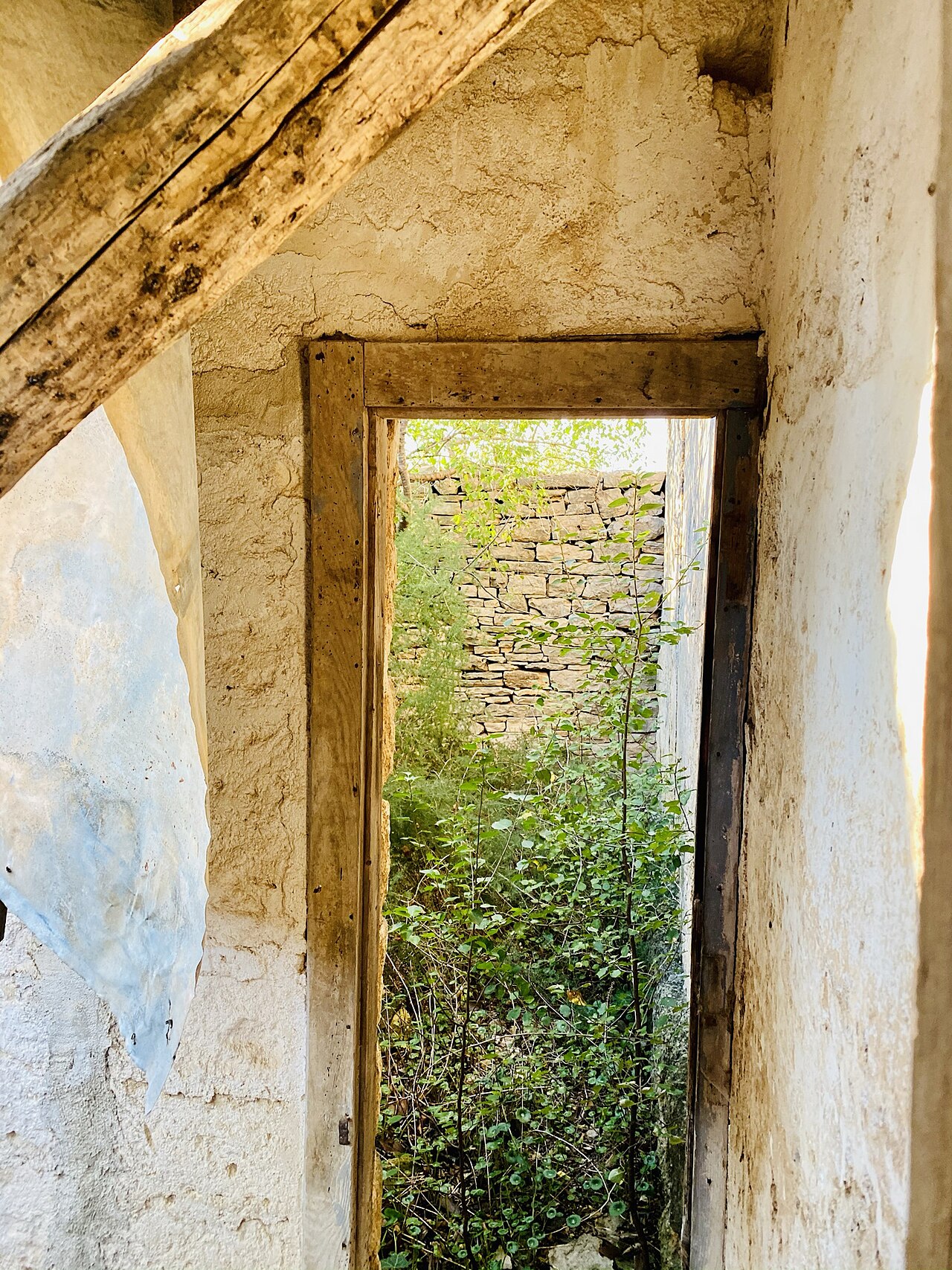 Corato — Murgia