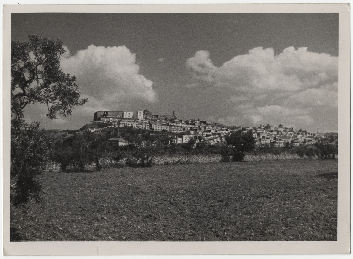 Minervino Murge — Paesaggio Il Parco Nazionale