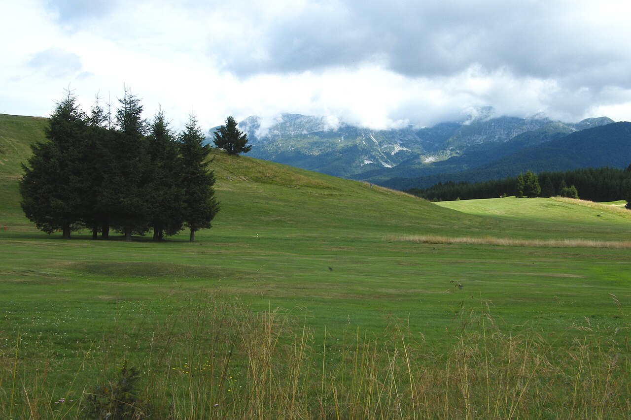 Sentiero naturalistico F - Strada del Taffarel