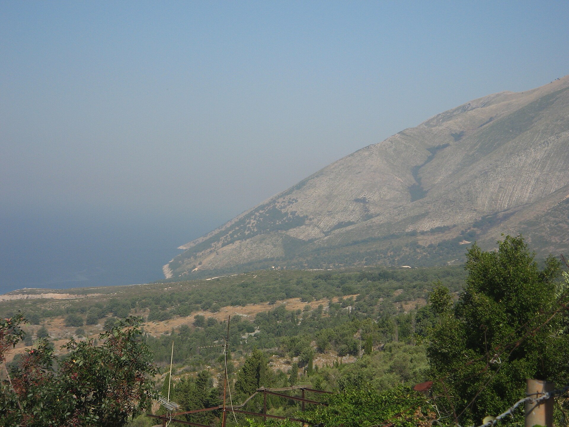Palasë
