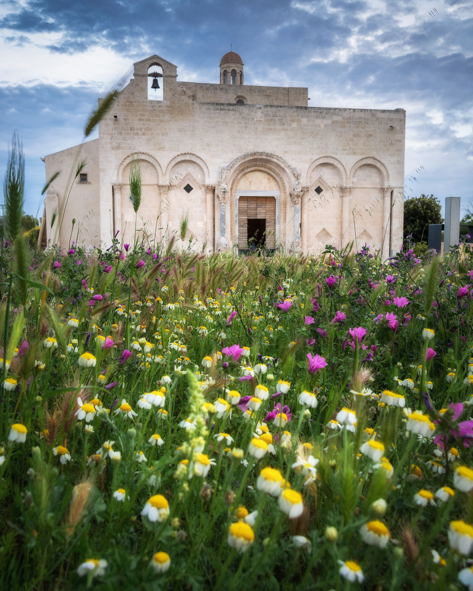 Manfredonia — visione di un Re
