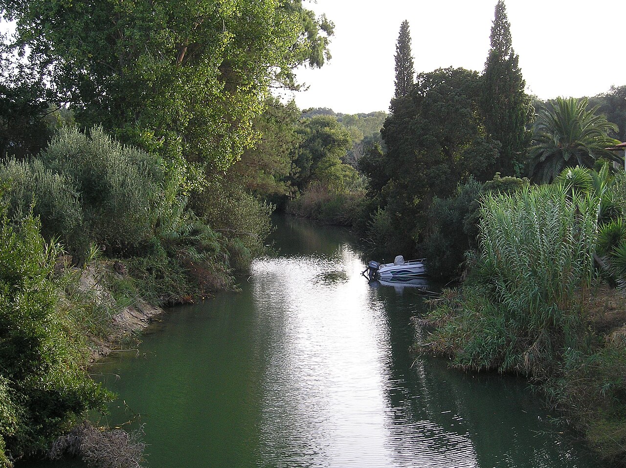 Mesongi — Uliveti Millenari