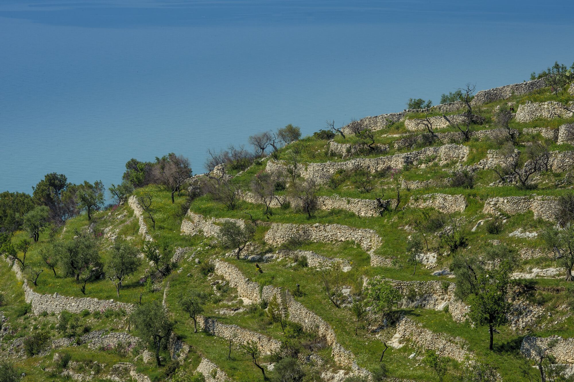 Monte Sant'angelo — Complesso di San Pietro