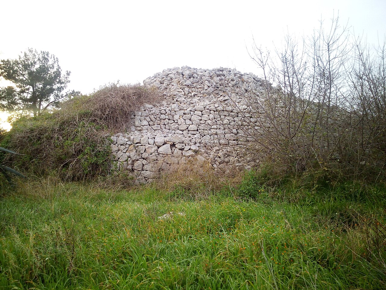 Rutigliano — Rutigliano