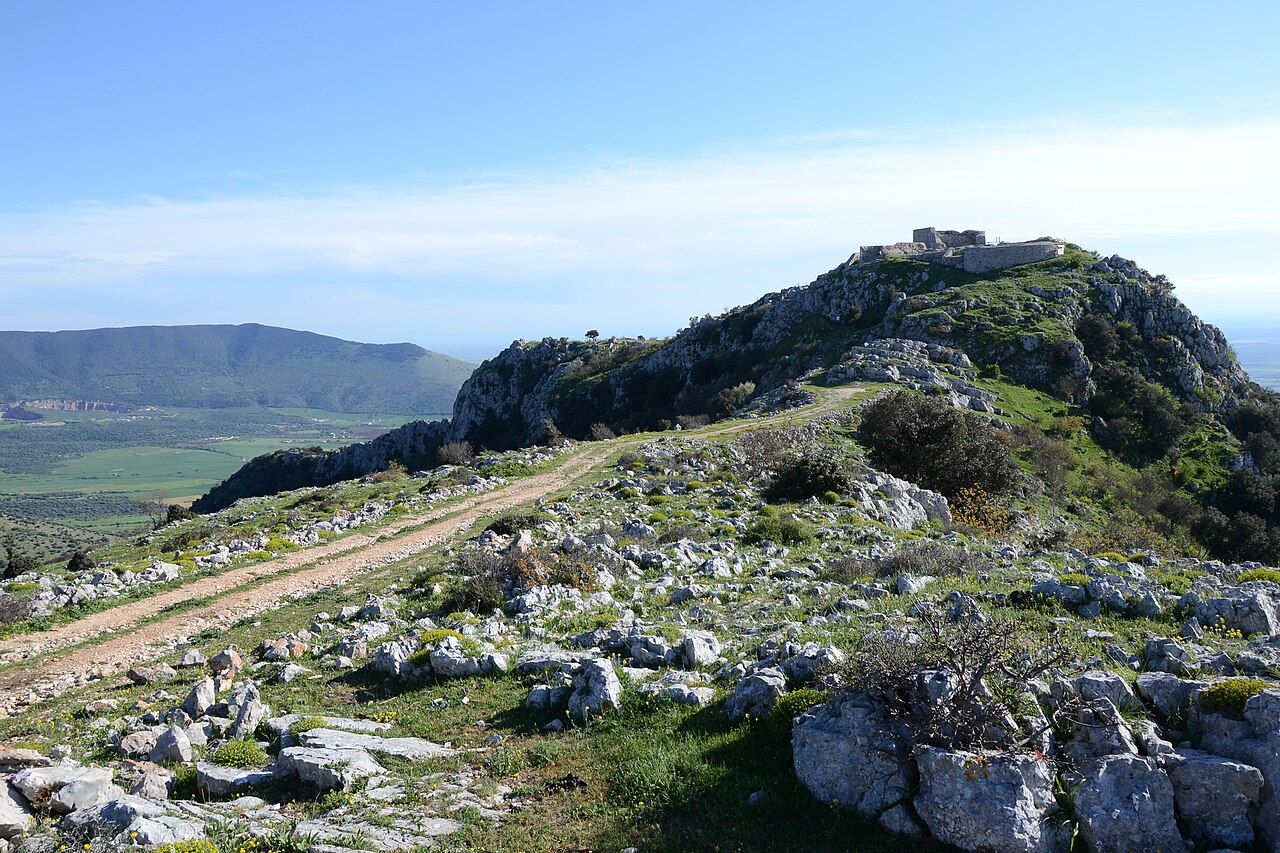Apricena — Apricena