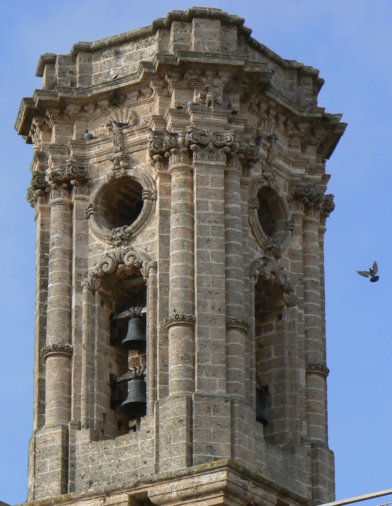 Terra d'Arneo