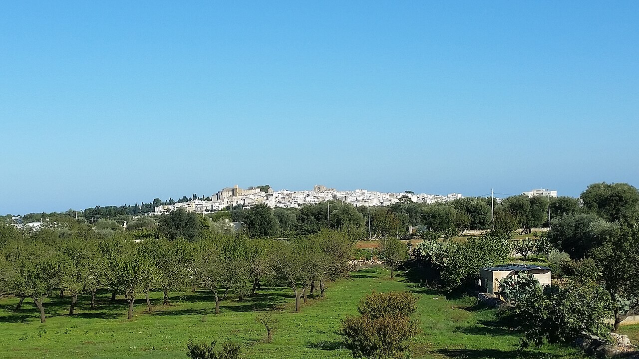 Carovigno — Olivi Millenari