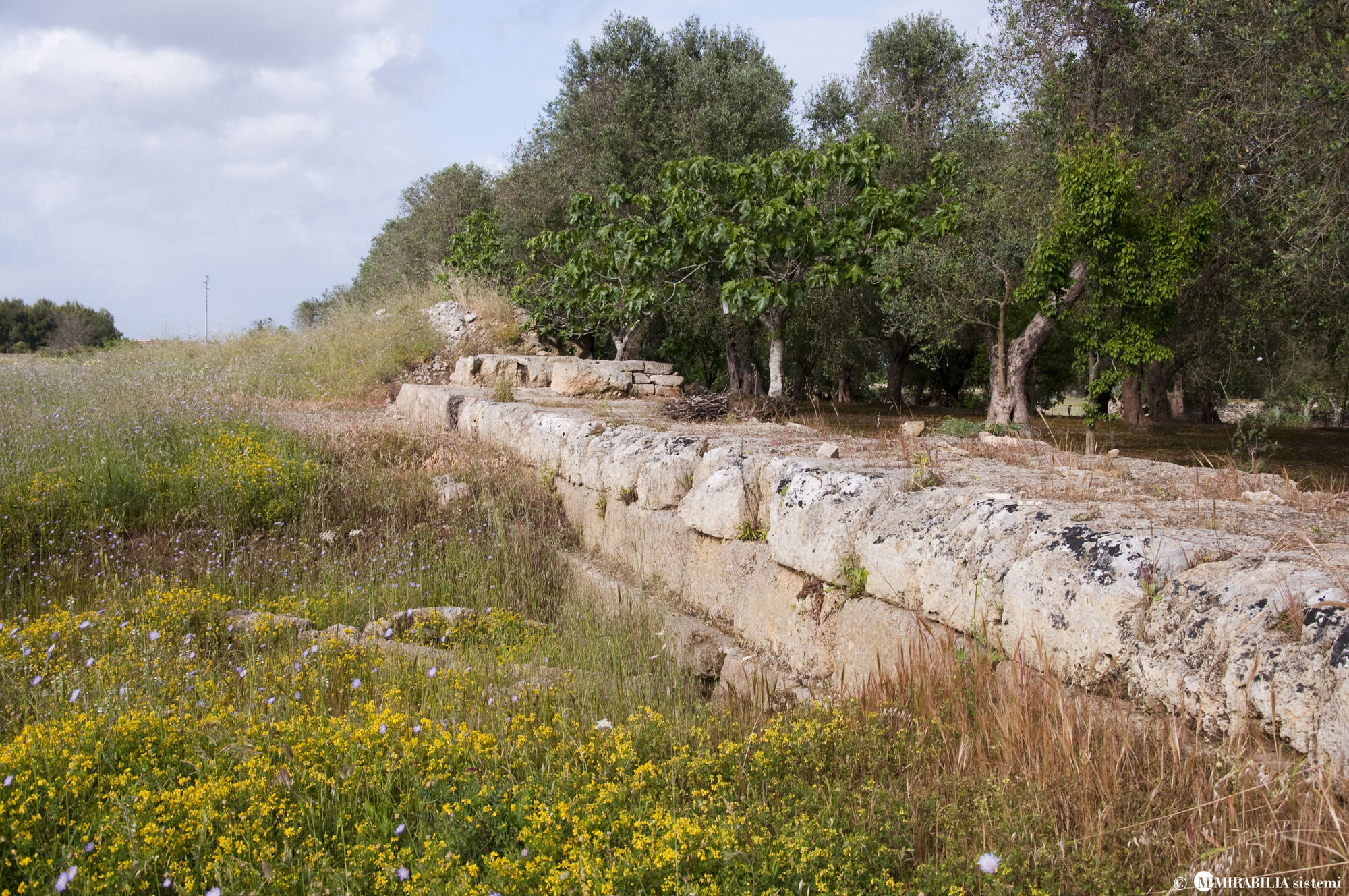 Muro Leccese — viaggio nel tempo