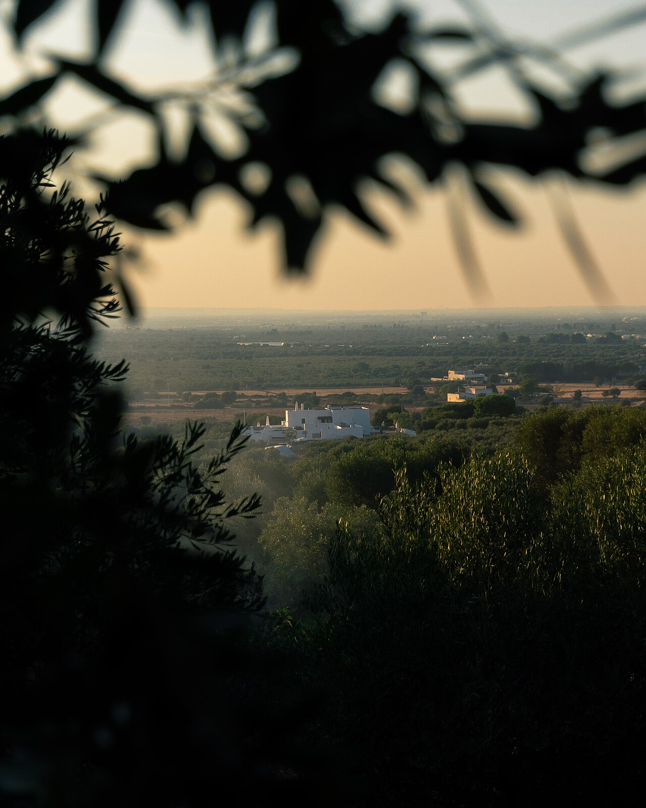 Ostuni — Masserie