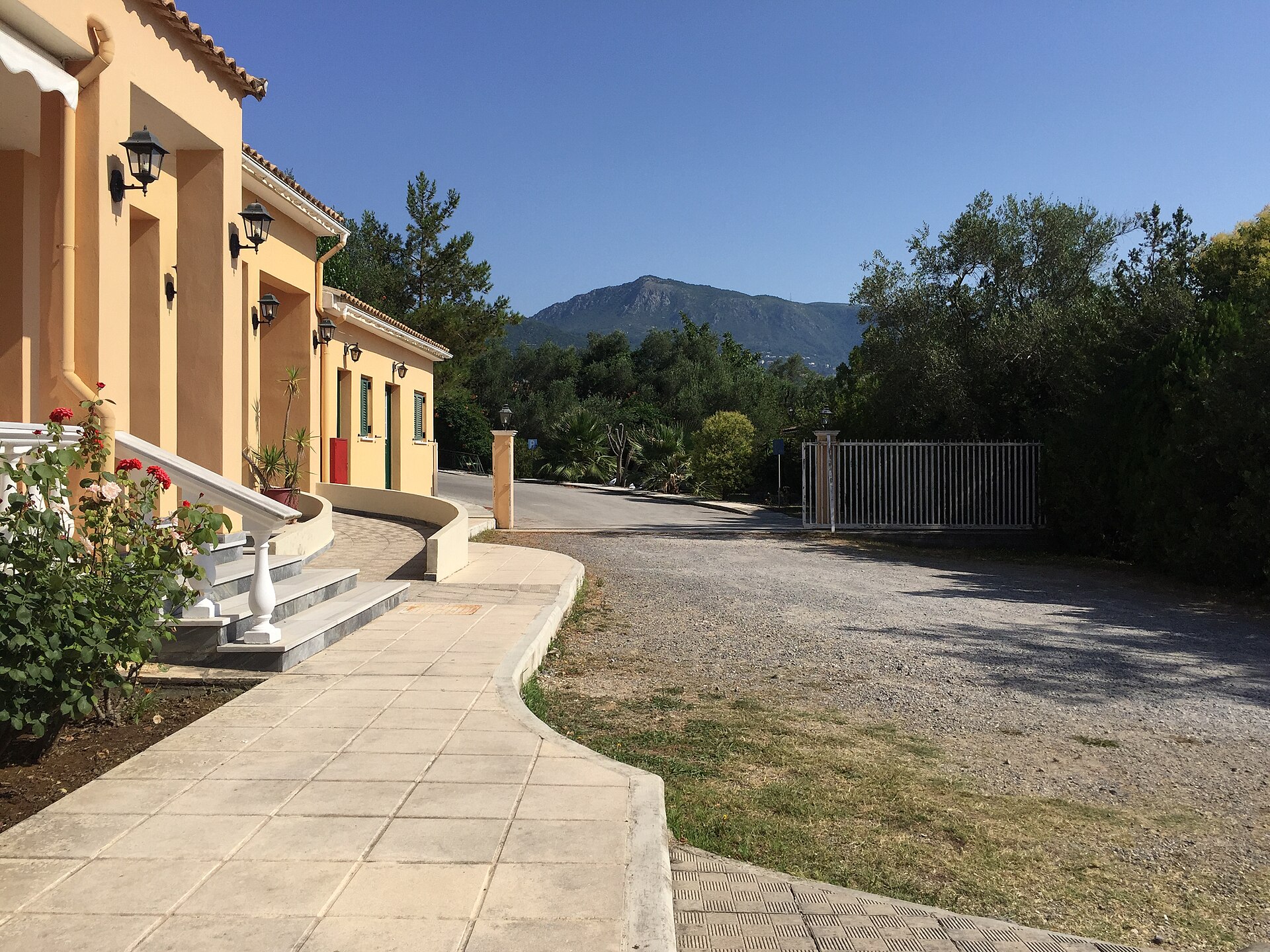 Dhassia — radici storiche