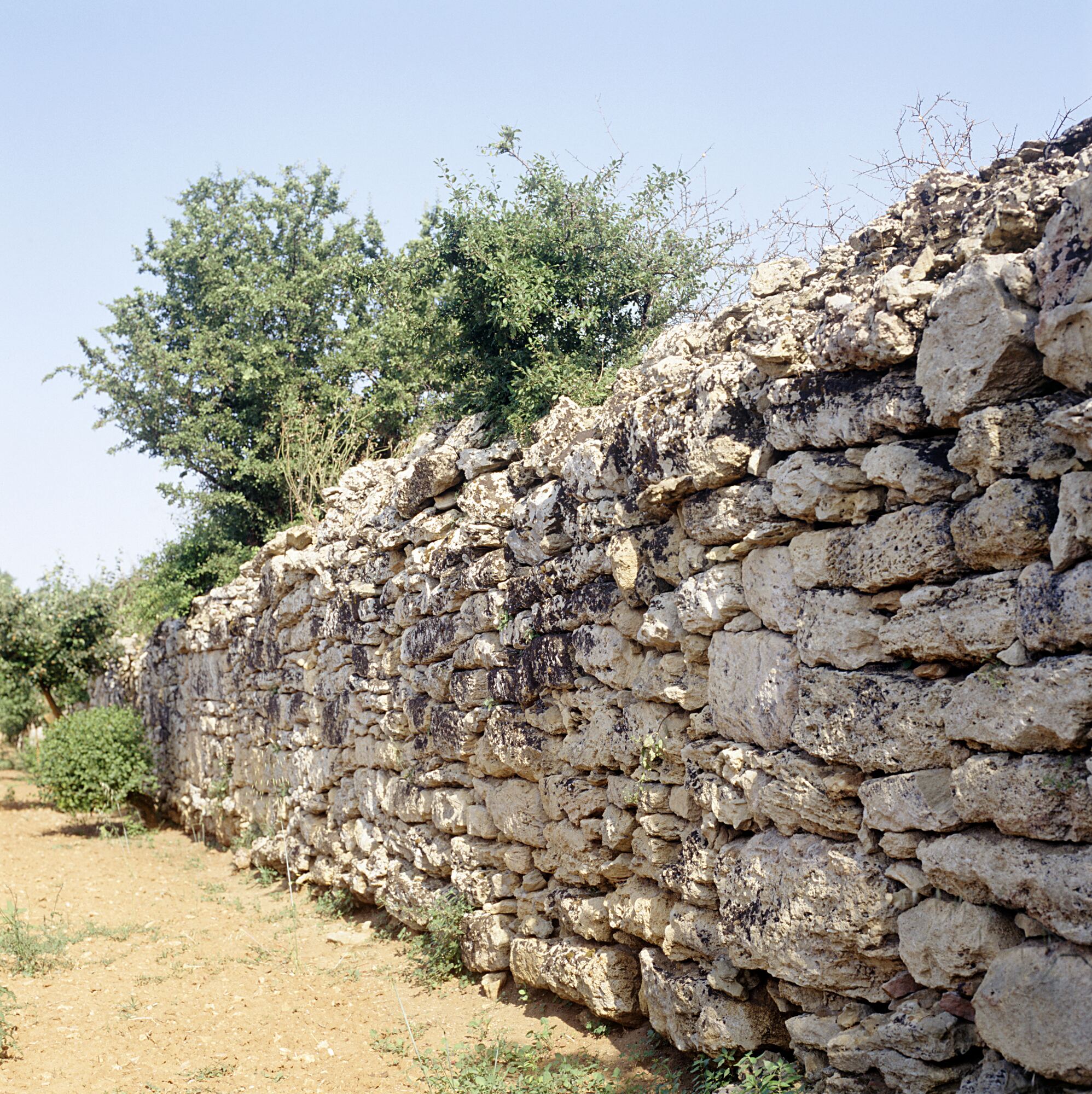 Torchiarolo — L'eredità di Valesio