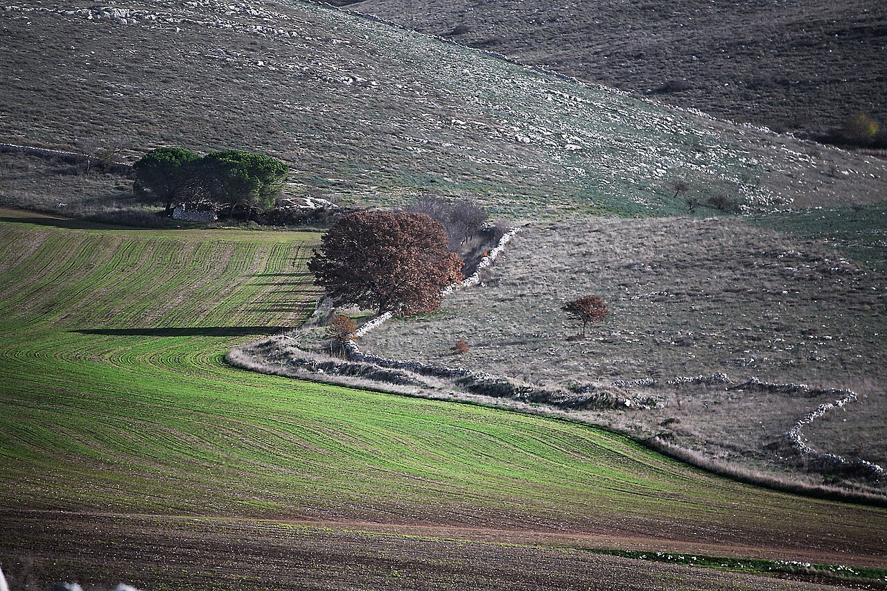 Alta Murgia — Gravina di Puglia
