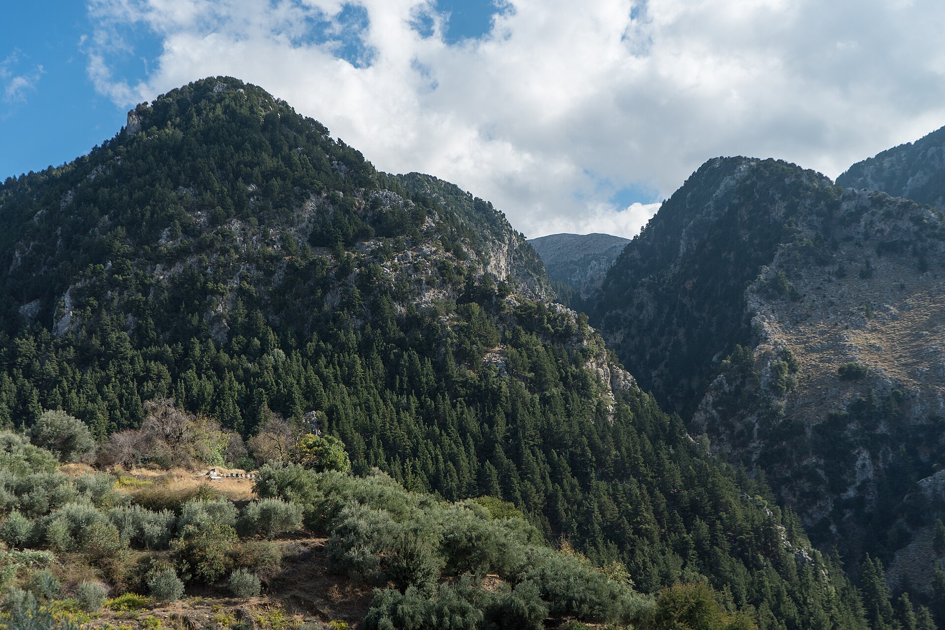 Gorge and Mountain PLA 02