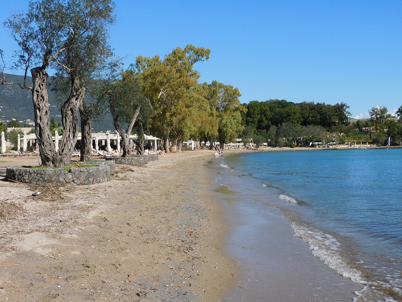 Dhassia — dintorni