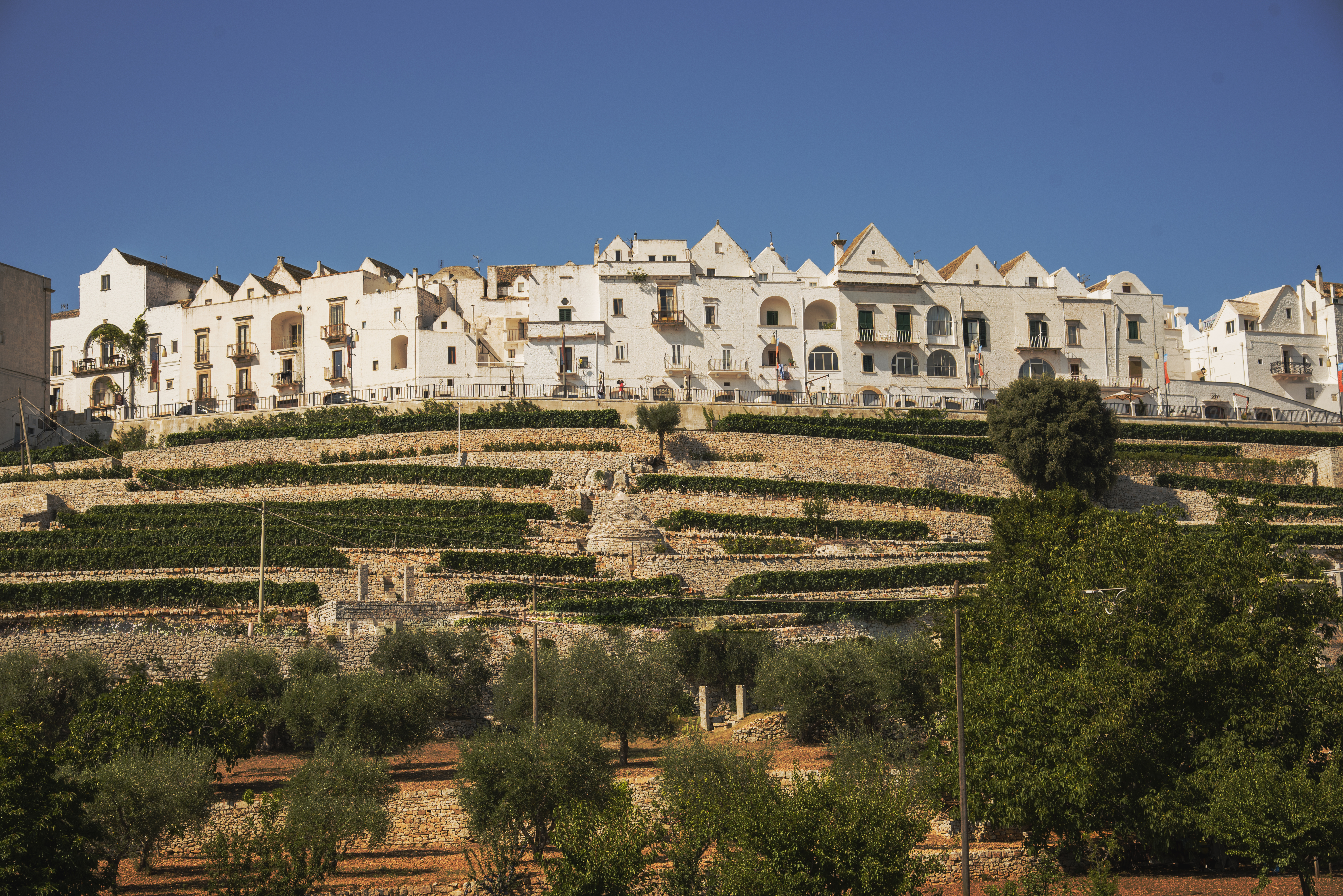 Valle d'Itria — Locorotondo