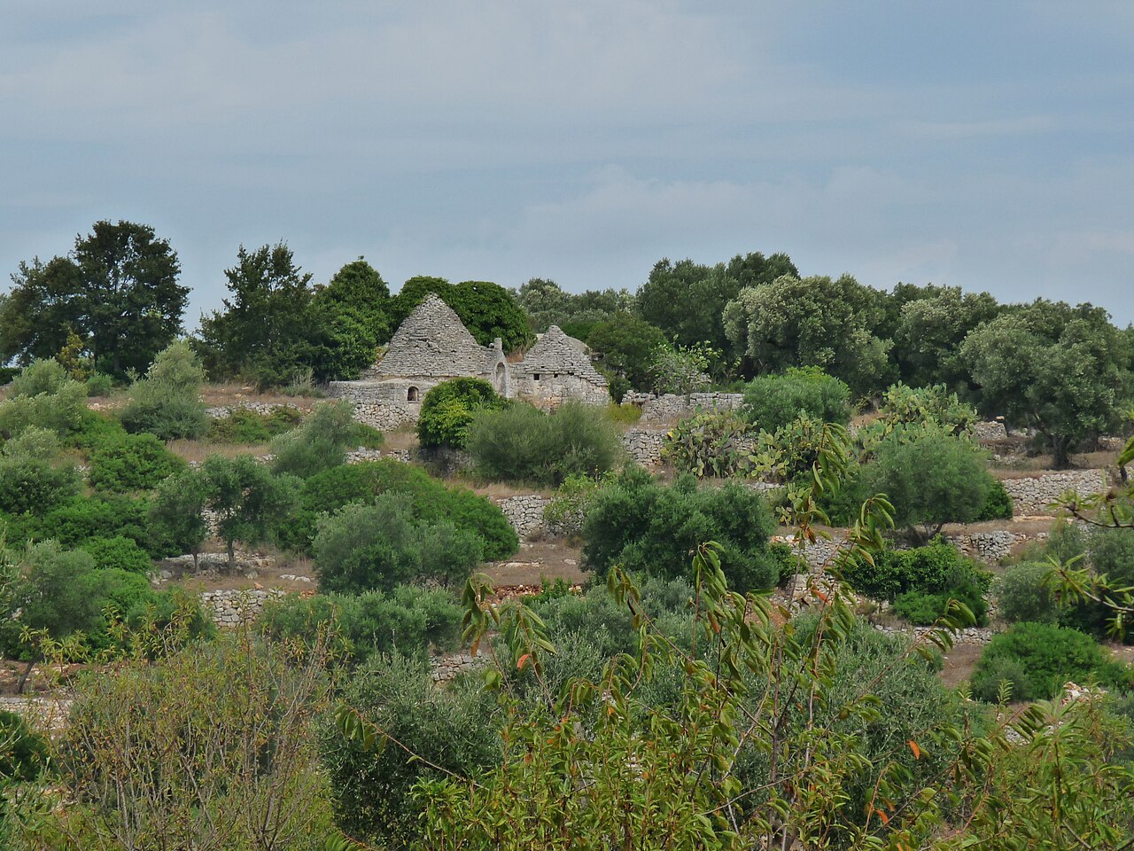 Valle d'Itria — Antico trullo e terrazzamenti in pietra a secco