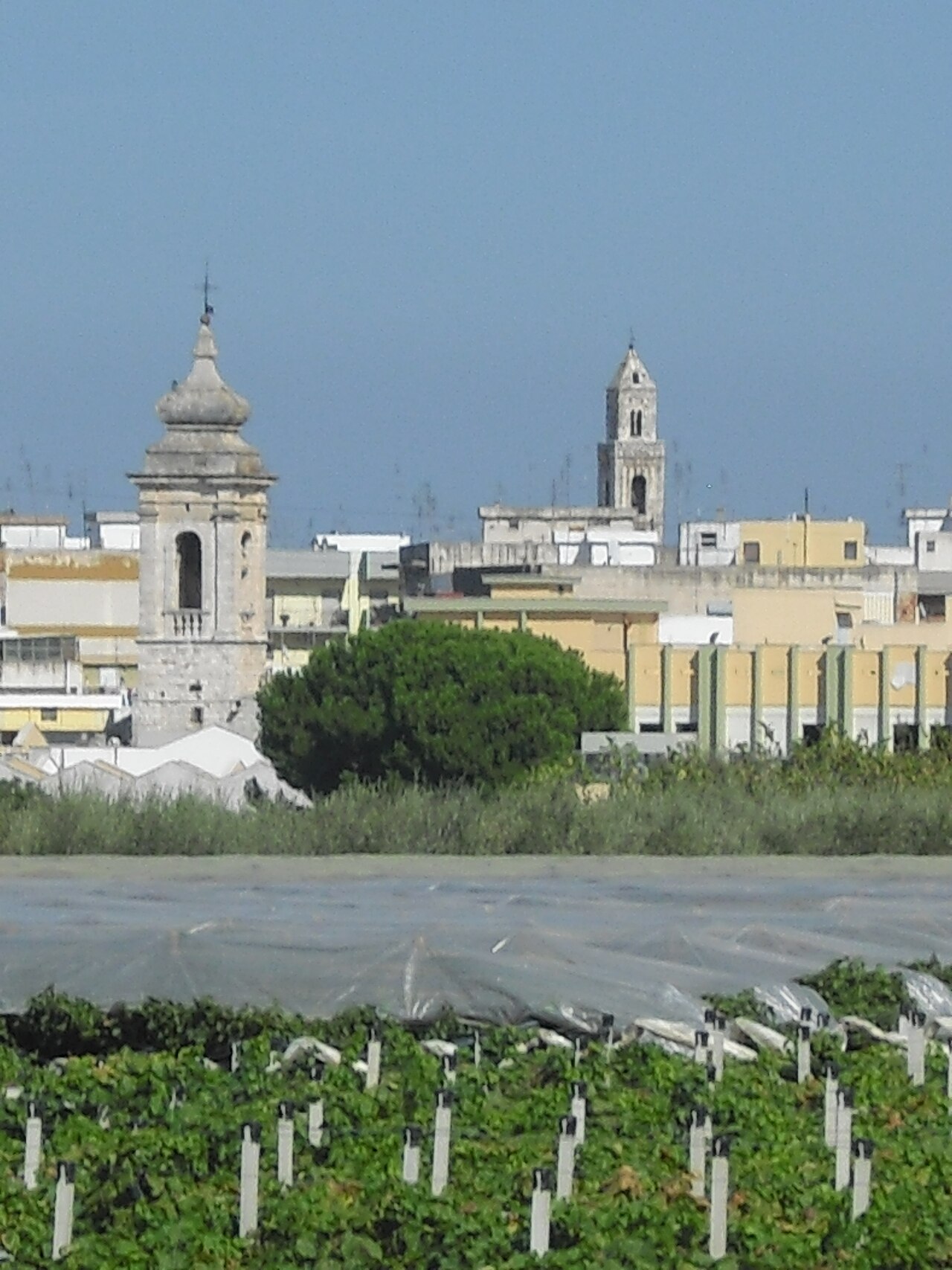 Noicattaro — Borgo Antico