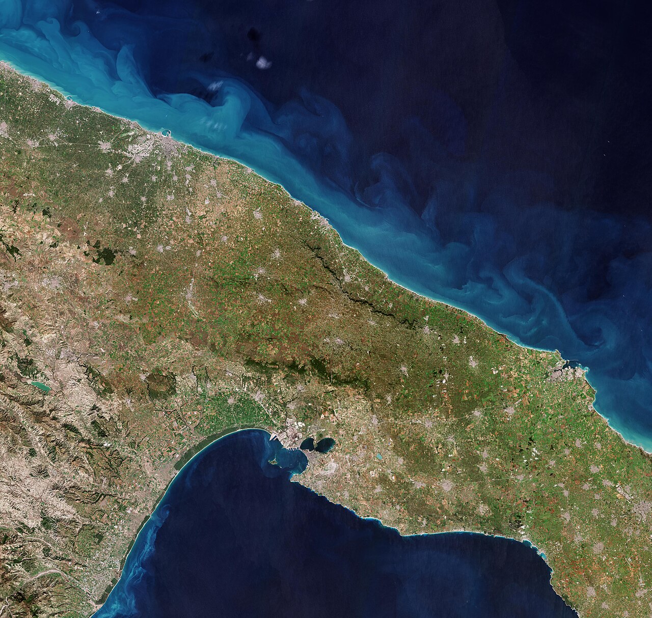 Stornara — Stornara