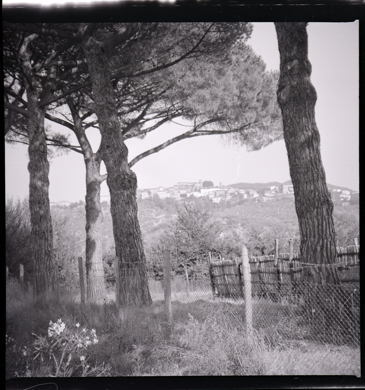 Italia — Italia