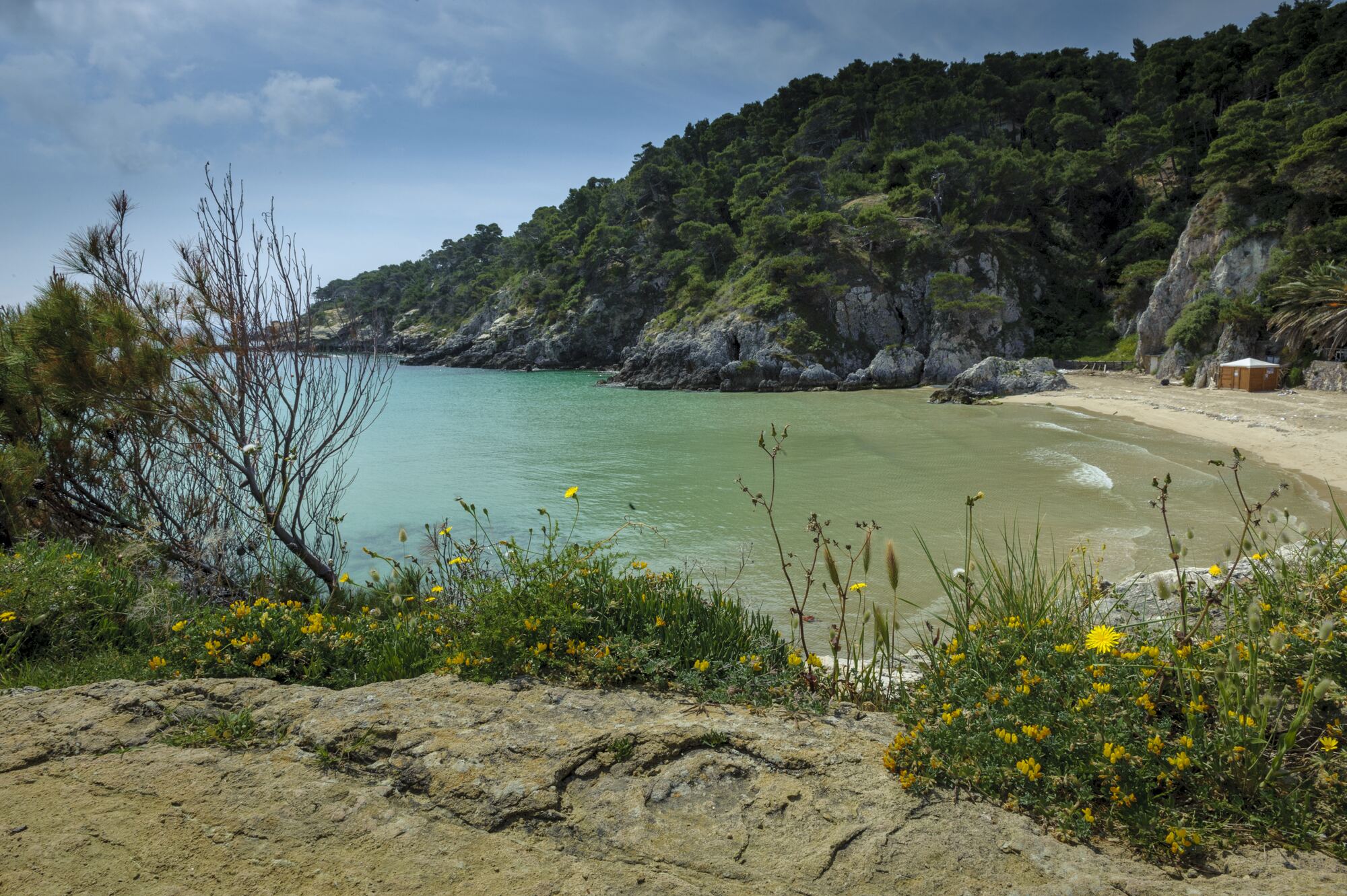 Isole Tremiti — Capraia, Cretaccio e Pianosa