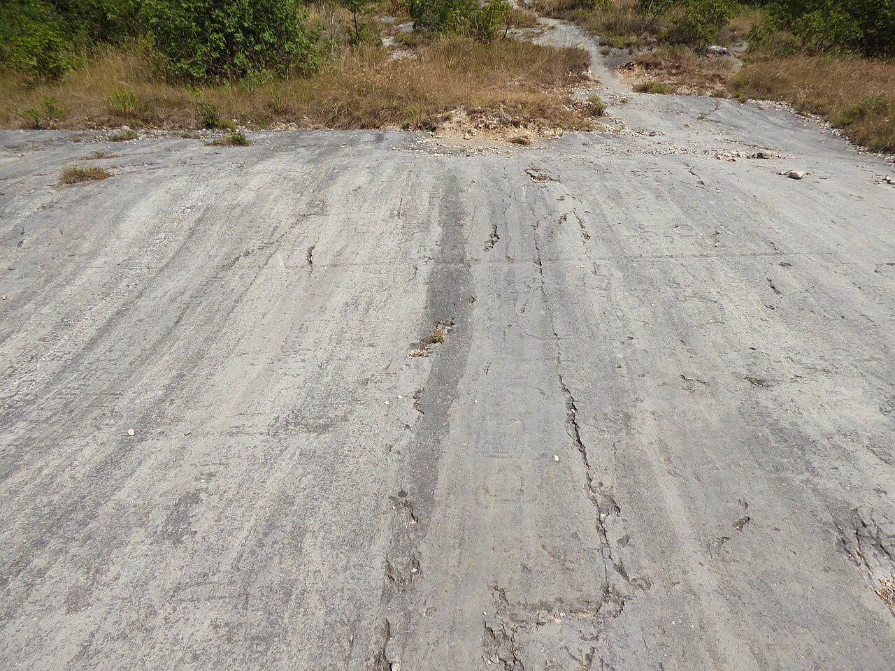 Percorso del Pellegrino