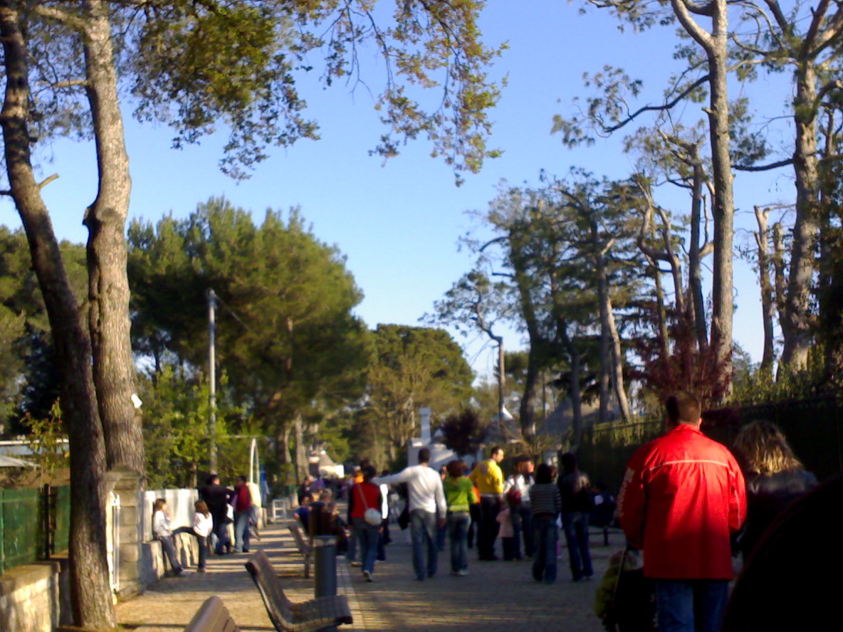 Fasano — Selva di Fasano