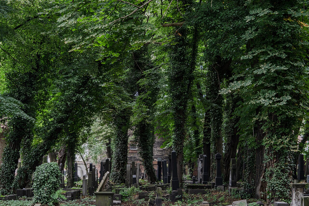 Turi — Memoria storica