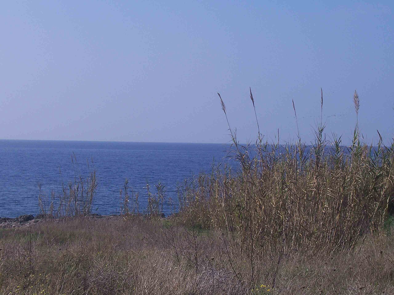 Leporano — Leporano