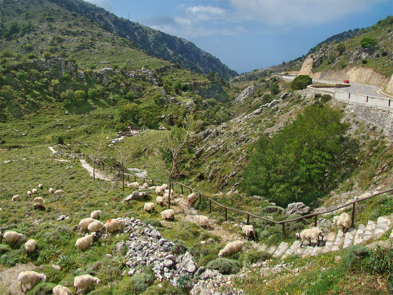 Askyfou-Anopoli