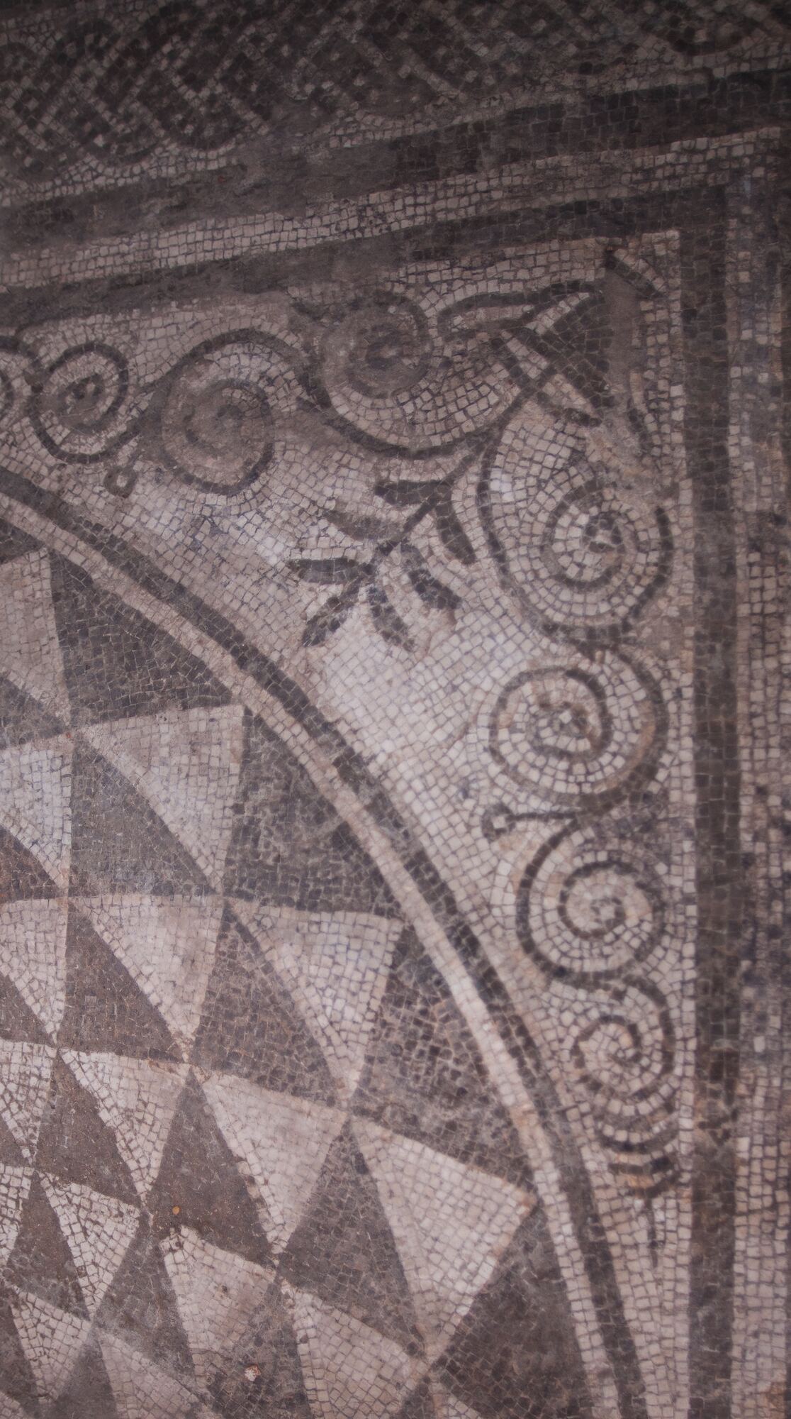 Ascoli Satriano — Polo Museale Civico Diocesano