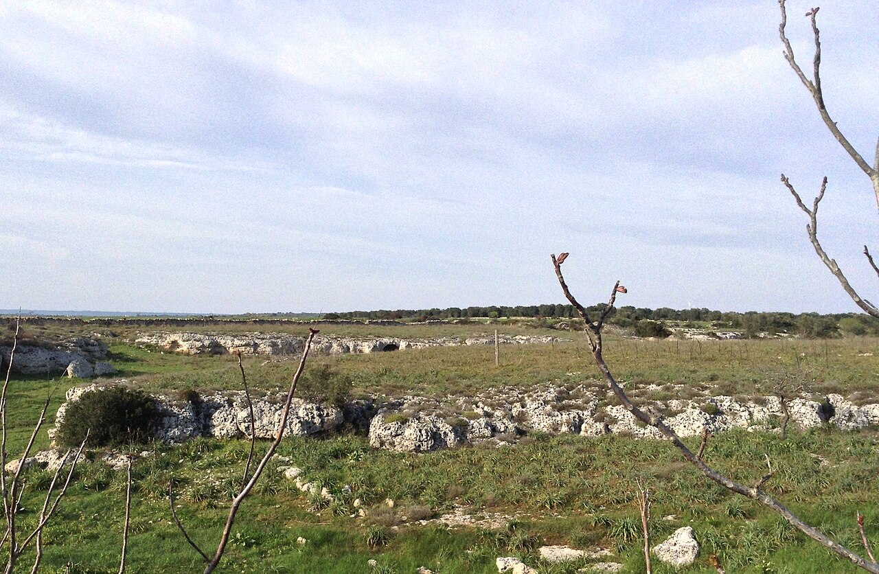 San Marzano Di San Giuseppe — riti del fuoco