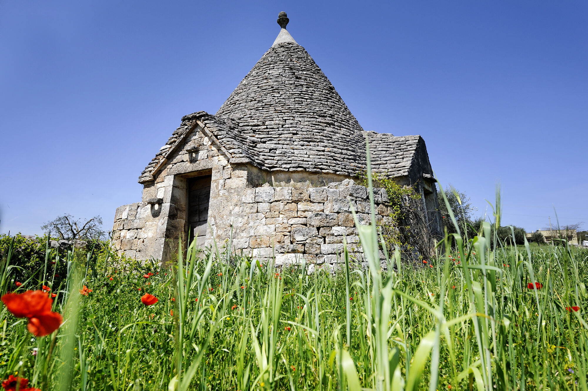 Alberobello — Valle