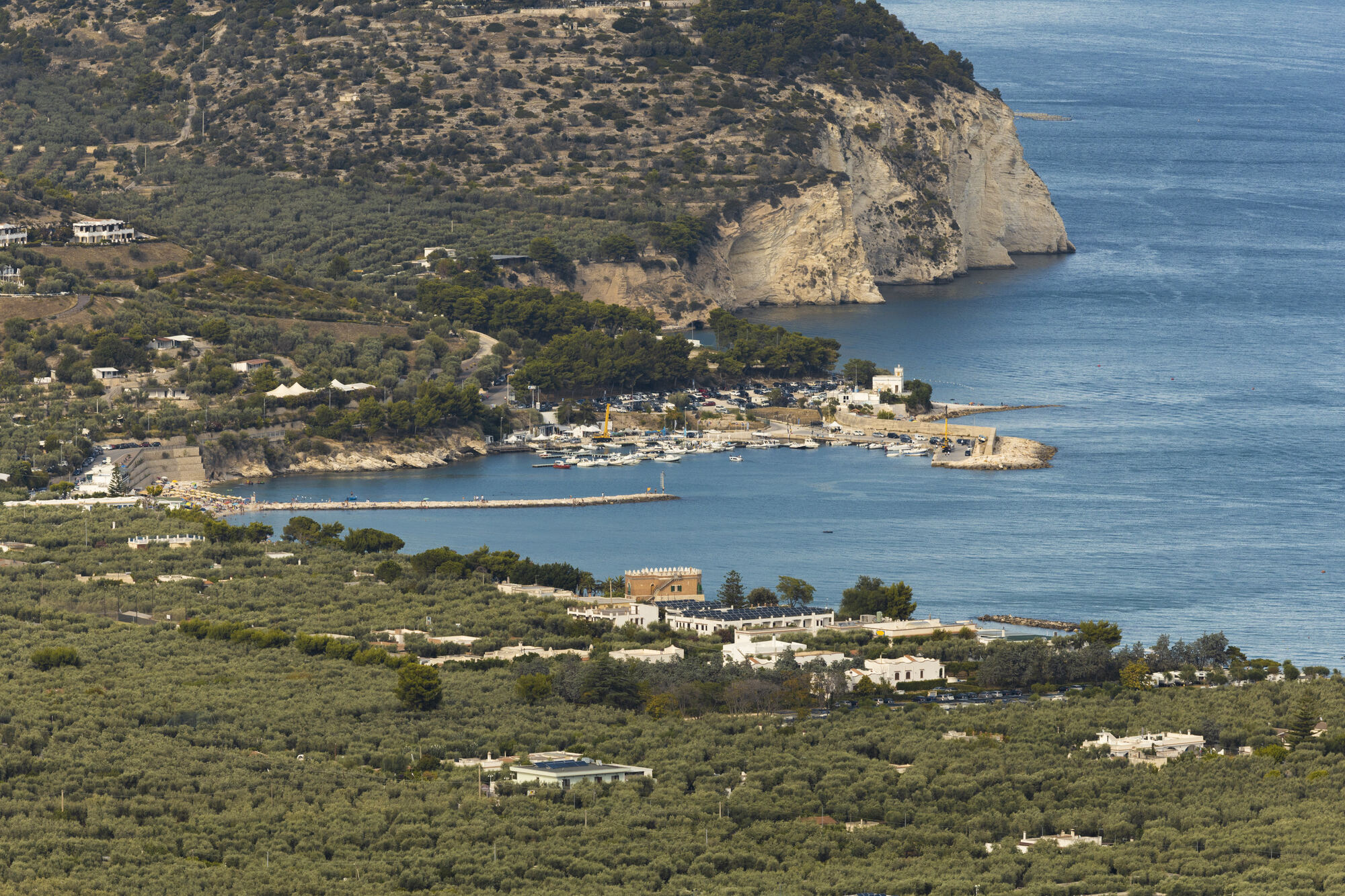 Mattinata — costa