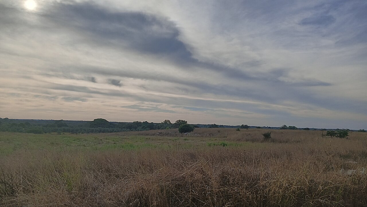 Surano — Surano