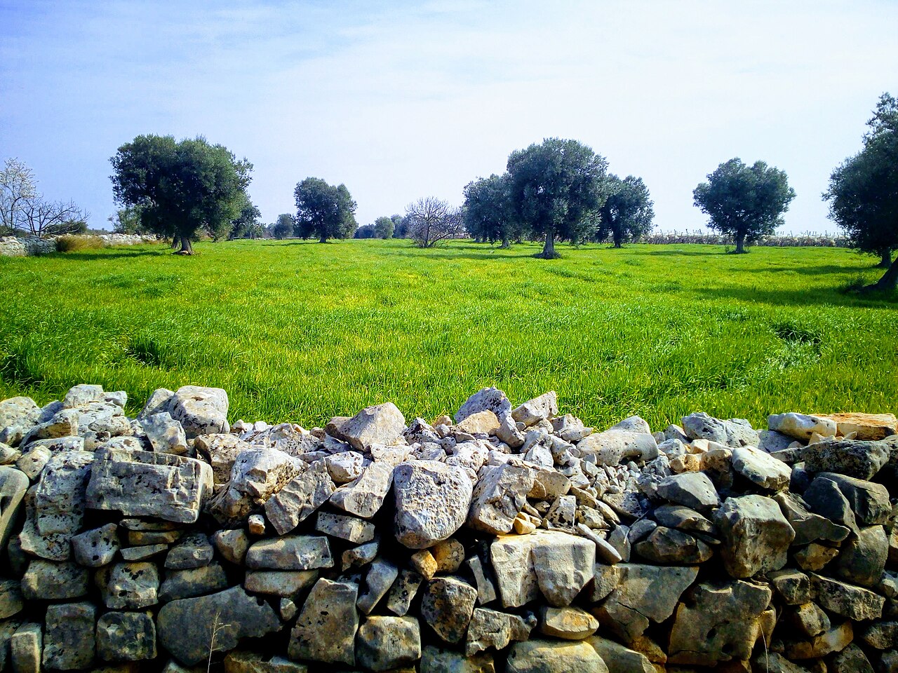 Rutigliano — Conca
