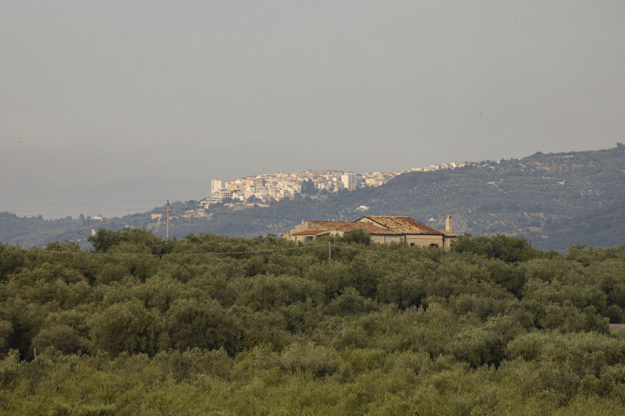 Ischitella — radici storiche