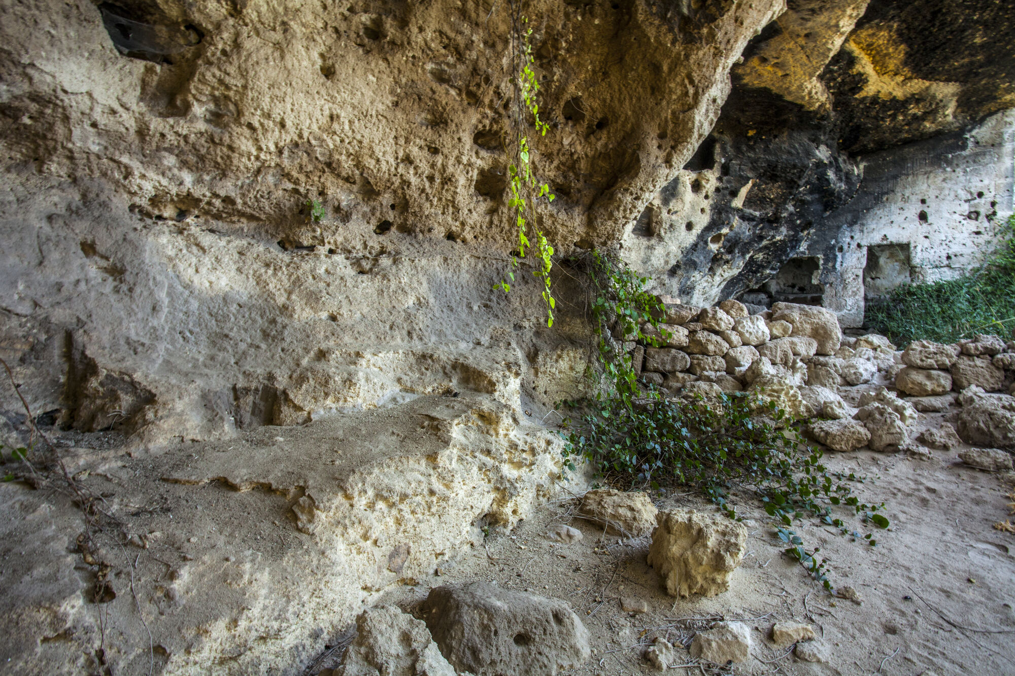 Statte — Dolmen di San Silvestro