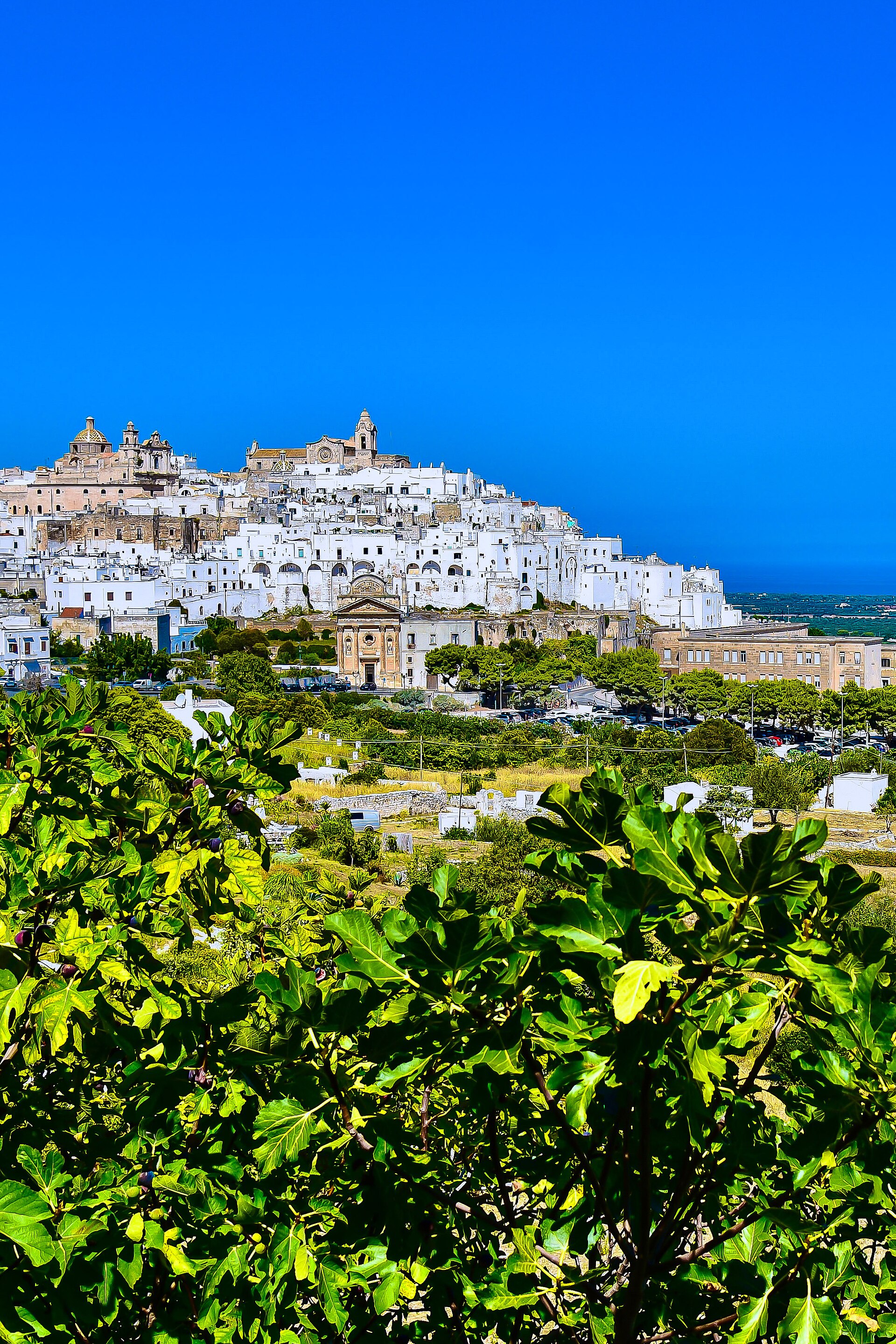 Ostuni — panorama estivo della città bianca
