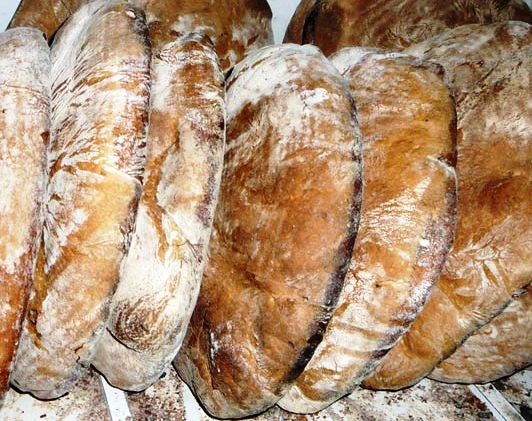 Gargano — Pane di Monte Sant'Angelo