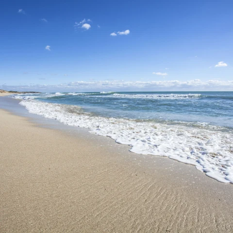 Ciclonica — Rete cicloturistica del Salento