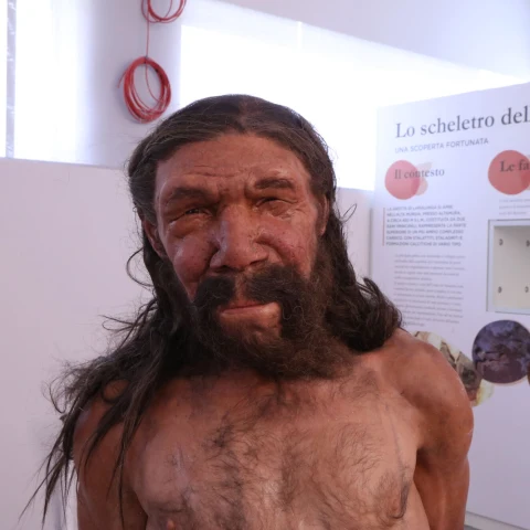 Via Peuceta Tappa 4